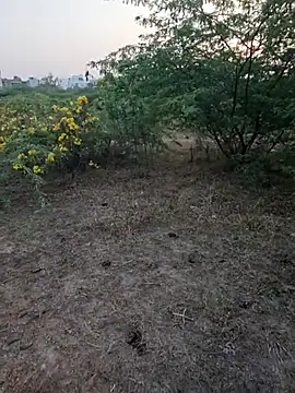 rameshmry1 online show from 5, 3, 2026