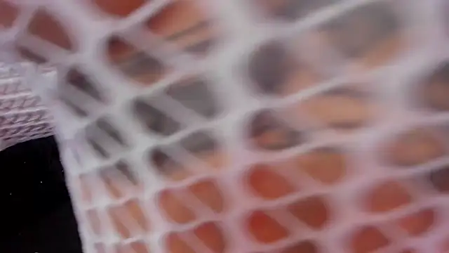 Snapshot of rosalia-04 chatting on 10, 11, 2025 rosalia-04 online show from 10, 11, 2025