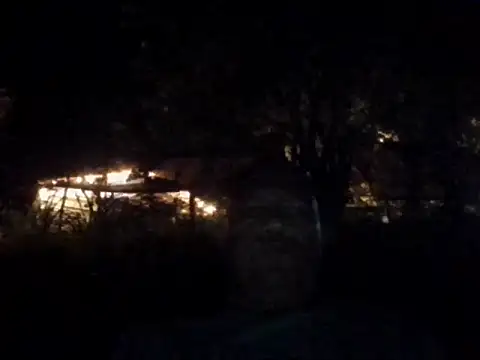 condor08750 online show from 22, 11, 2025