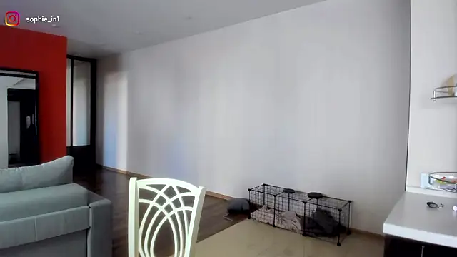  in yan online show from 16, 3, 2026