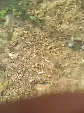 FinableKnee online show from 27, 10, 2025