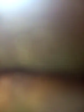 FinableKnee online show from 27, 11, 2025