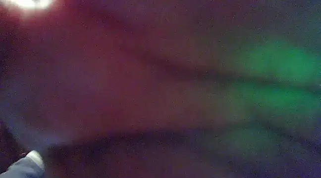 crazyneighbo r online show from 2, 12, 2024