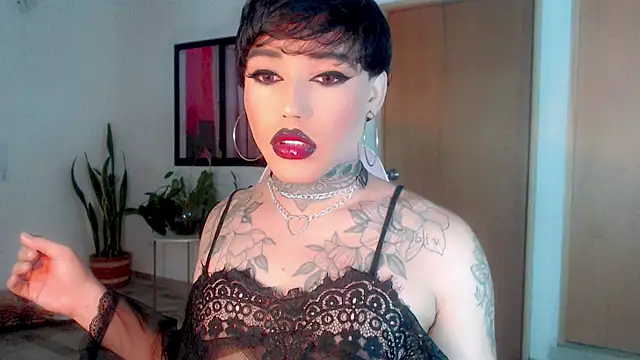 little star porn online show from 25, 1, 2025