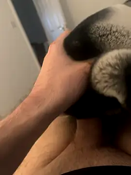 Snapshot of Furdale chatting on 3, 12, 2024 Furdale online show from 3, 12, 2024