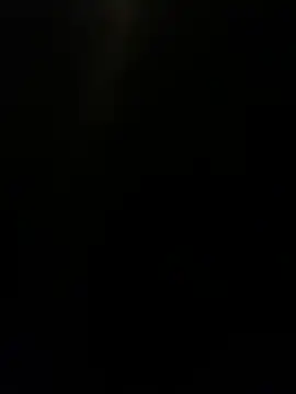 Snapshot of Furdale chatting on 9, 12, 2024 Furdale online show from 9, 12, 2024