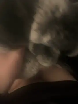 Snapshot of Furdale chatting on 17, 12, 2024 Furdale online show from 17, 12, 2024