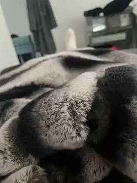 Snapshot of Furdale chatting on 18, 12, 2024 Furdale online show from 18, 12, 2024