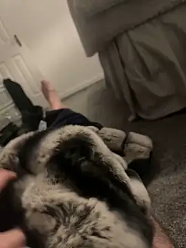 Snapshot of Furdale chatting on 6, 1, 2025 Furdale online show from 6, 1, 2025