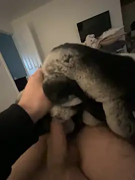 Snapshot of Furdale chatting on 24, 1, 2025 Furdale online show from 24, 1, 2025