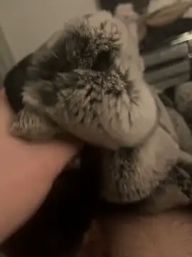 Snapshot of Furdale chatting on 24, 1, 2025 Furdale online show from 24, 1, 2025