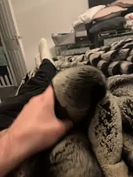 Snapshot of Furdale chatting on 11, 2, 2025 Furdale online show from 11, 2, 2025