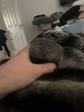 Snapshot of Furdale chatting on 16, 2, 2025 Furdale online show from 16, 2, 2025