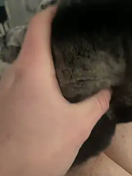 Snapshot of Furdale chatting on 24, 2, 2025 Furdale online show from 24, 2, 2025