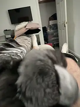 Snapshot of Furdale chatting on 17, 10, 2025 Furdale online show from 17, 10, 2025