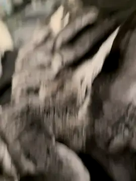 Snapshot of Furdale chatting on 31, 10, 2025 Furdale online show from 31, 10, 2025