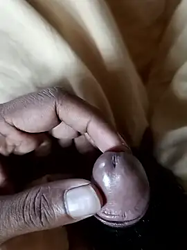 malluflash online show from 10, 1, 2026