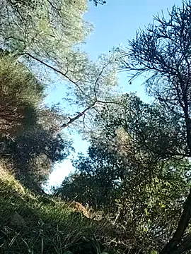 Poyraz6996 online show from 14, 11, 2025