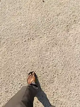 Snapshot of rajlocal chatting on 18, 12, 2024 rajlocal online show from 18, 12, 2024