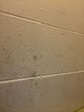 Snapshot of Greedy187nMs211 chatting on 2, 12, 2025 Greedy187nMs211 online show from 2, 12, 2025