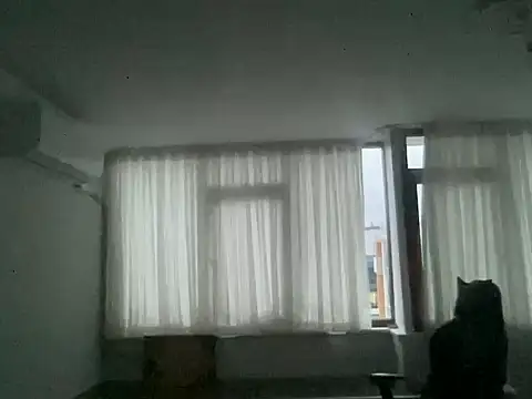 Snapshot of ALPHANDRE chatting on 16, 3, 2025 ALPHANDRE online show from 16, 3, 2025