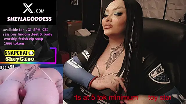 sheylagoddess11 online show from 25, 3, 2026