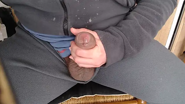 italian mach online show from 26, 2, 2026