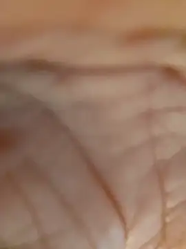 real007fun online show from 1, 3, 2026