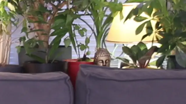 Lily minx online show from 13, 11, 2025