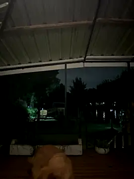 dinamita Blair online show from 17, 10, 2025