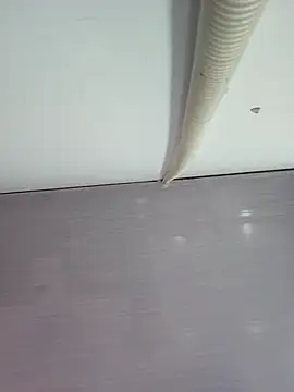 sweet lucia online show from 11, 3, 2026