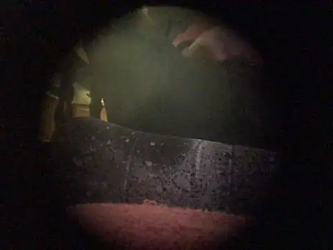 translove online show from 9, 12, 2024