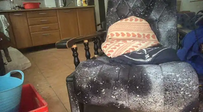 translove online show from 5, 1, 2025