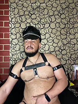 the master foal  online show from 10, 3, 2026