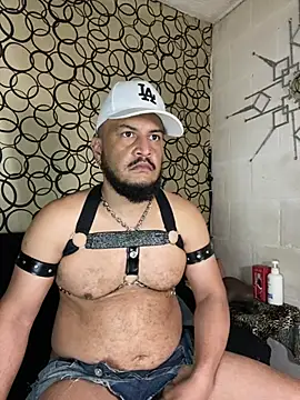 the master foal  online show from 11, 3, 2026