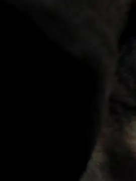 indian boy001 online show from 23, 2, 2025