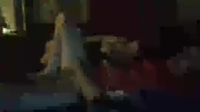 Snapshot of Wyley@xh chatting on 11, 11, 2025 Wyleyxh online show from 11, 11, 2025