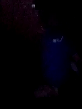 Snapshot of Wyley@xh chatting on 30, 11, 2025 Wyleyxh online show from 30, 11, 2025