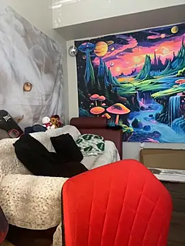 xdolltv online show from 19, 2, 2026