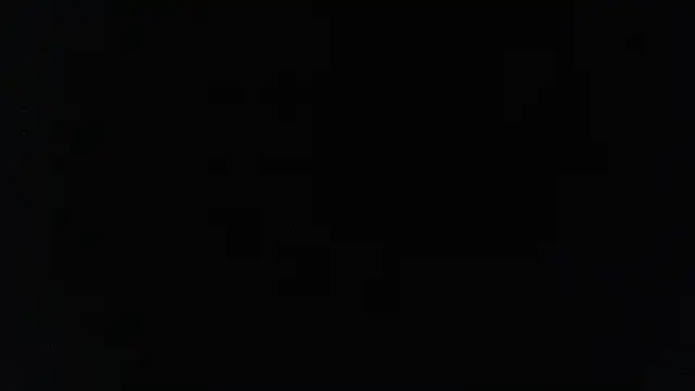 harry reems1 online show from 12, 1, 2025