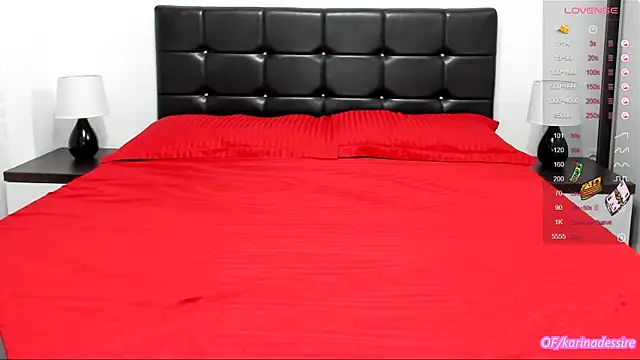 karinamadnessdesiree online show from 11, 1, 2025