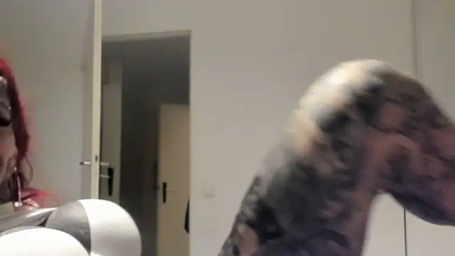 Snapshot of tamarapervert chatting on 13, 3, 2026 tamarapervert online show from 13, 3, 2026