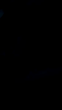 Snapshot of DauergeilMD chatting on 25, 1, 2025 DauergeilMD online show from 25, 1, 2025