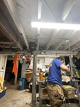 charactrzero online show from 11, 1, 2025