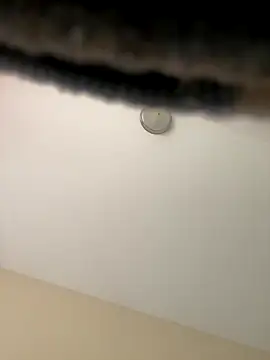 Iced cloudz online show from 14, 12, 2025