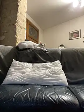 Snapshot of steph19x5 chatting on 14, 3, 2026 steph19x5 online show from 14, 3, 2026