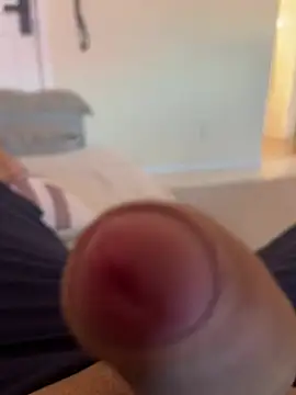 dustbor online show from 11, 1, 2026