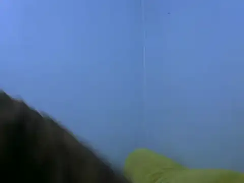 Snapshot of Forsia chatting on 6, 2, 2025 Forsia online show from 6, 2, 2025