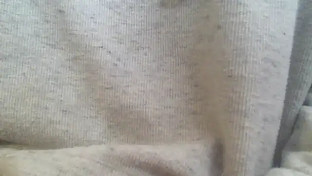 Snapshot of OralDesires2 chatting on 17, 2, 2025 OralDesires2 online show from 17, 2, 2025