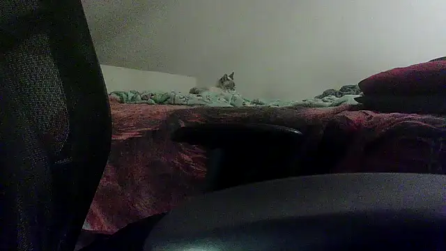 Snapshot of OralDesires2 chatting on 19, 2, 2025 OralDesires2 online show from 19, 2, 2025